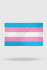 Bandeira Trans